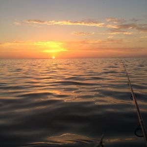 Meet your Posher, Caleb